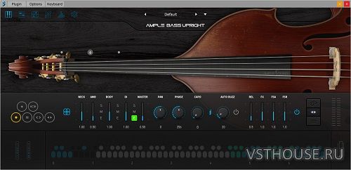 Ample Sound - Ample Bass Upright III v3.1.0 VSTi, VSTi3, AAX, AUi WIN.