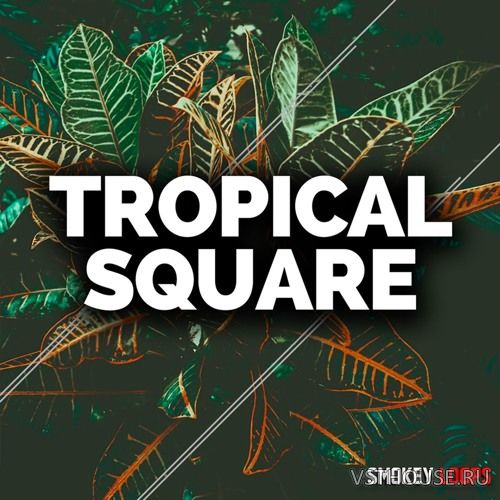 Smokey Loops - Tropical Square (MIDI, WAV)