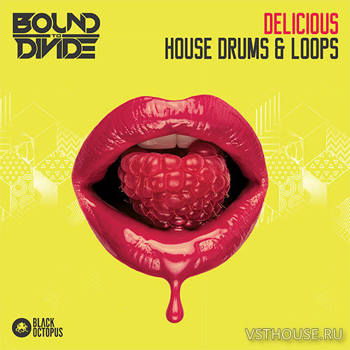 Black Octopus Sound - Delicious House Drums & Loops (WAV)