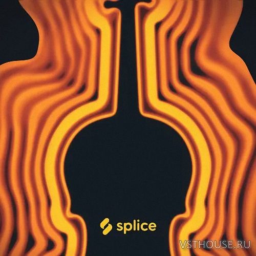 Splice Sounds - Motown Strings with the Splice String Quartet (WAV)