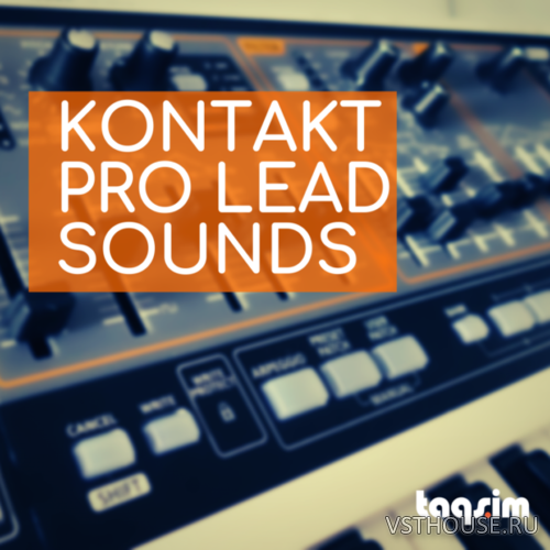 TAQS.IM - TAQSIM Kontakt Pro Lead Sounds (KONTAKT)