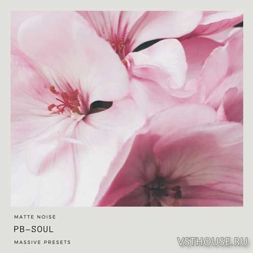 GOGOi - PB-Soul (MASSiVE)