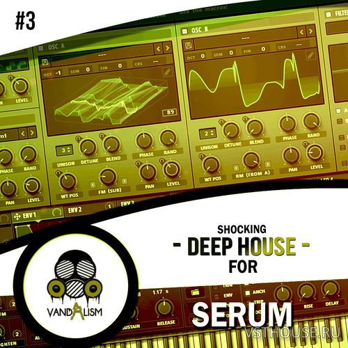 Vandalism Sounds - Shocking Deep House For Serum 3 (SERUM)