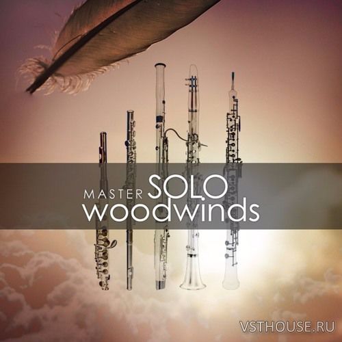Auddict - Master Solo Woodwinds Bassoon (KONTAKT)