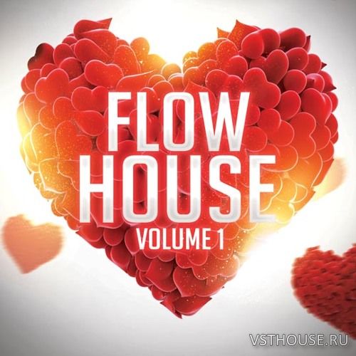 8Dio - Flow House Synth (KONTAKT)