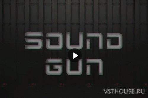 [Вольница][Руслан Гапиров] Sound Gun Работа со звуком [2020, RUS]