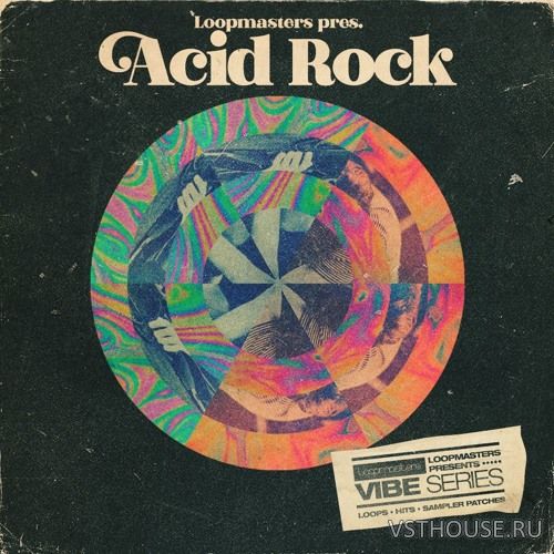Loopmasters - VIBES Vol 8 - Acid Rock (REX2, WAV)