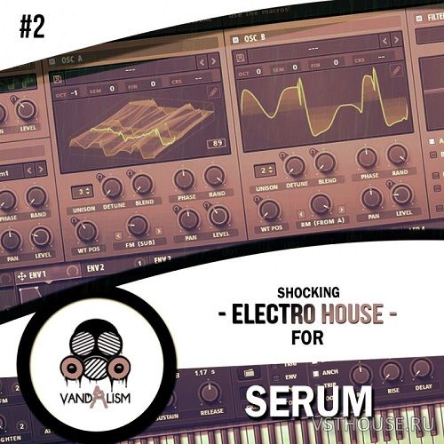 Vandalism - Shocking Electro House For Serum 2 (SYNTH PRESET, MIDI)