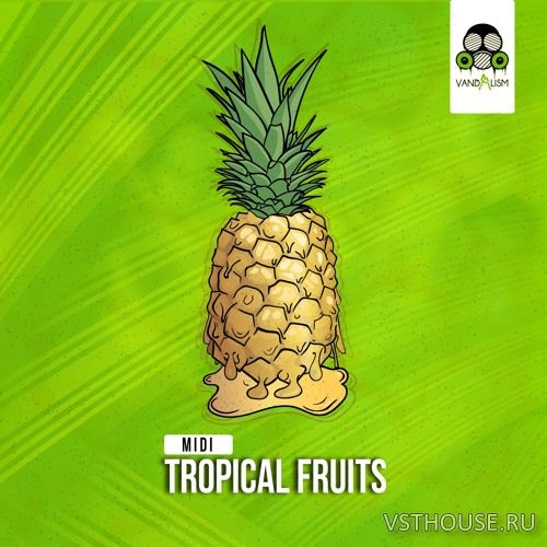 Vandalism - MIDI Tropical Fruits (MIDI)