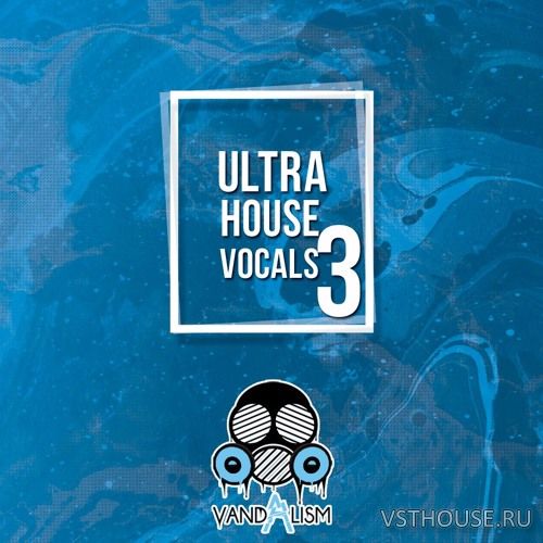 Vandalism - Ultra House Vocals 3 (WAV)