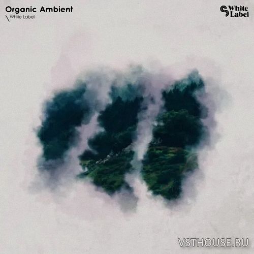 Sample Magic - Organic Ambient (WAV)