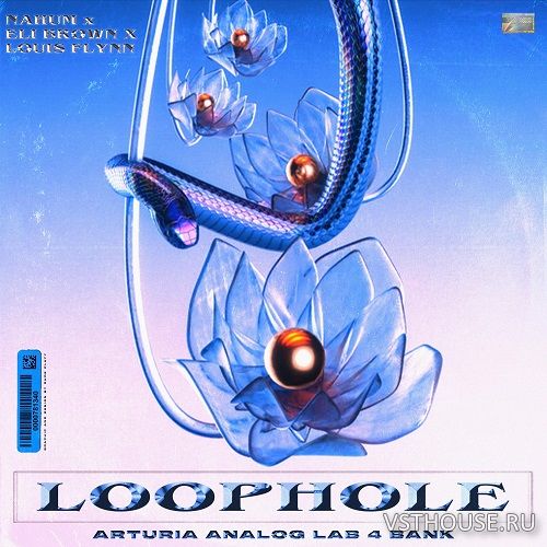 Up North Music Group - LOOPHOLE ARTURIA ANALOG LABS 4