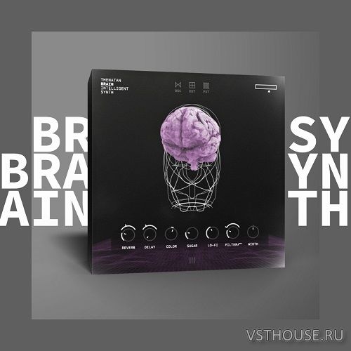 Thenatan - BRAIN - Intelligent SYNTH 1.0.0