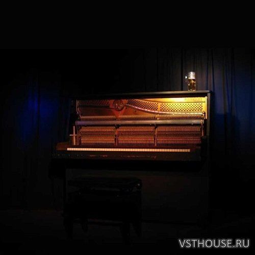 Detunized - Upright Piano (LIVE, ALP)