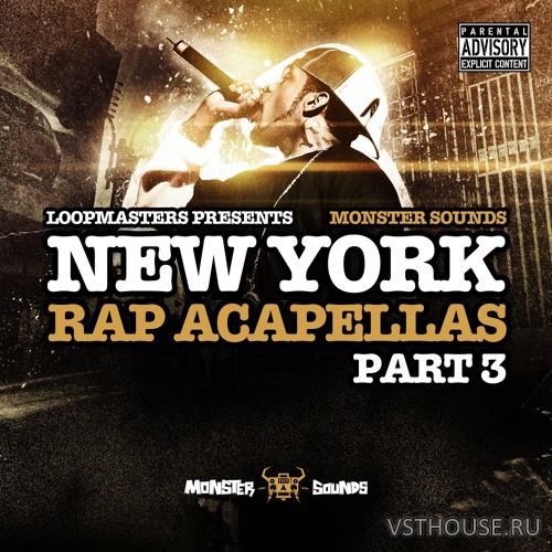 Monster Sounds - New York Rap Acapellas Vol 3