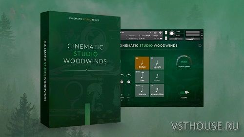 Cinematic Studio Series - Cinematic Studio Woodwinds (KONTAKT)