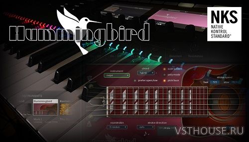 Prominy - Hummingbird 1.22c (KONTAKT) (FULL & UPDATE)