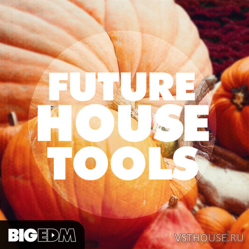 Big EDM - Future House Tools