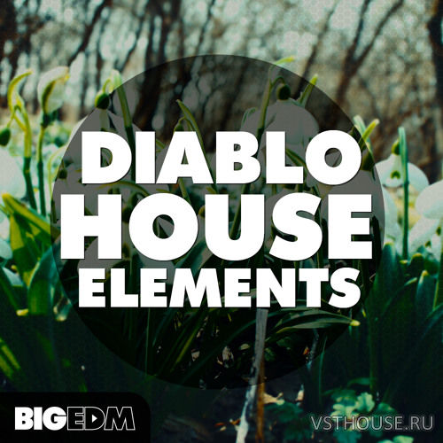 Big EDM - Diablo House Elements