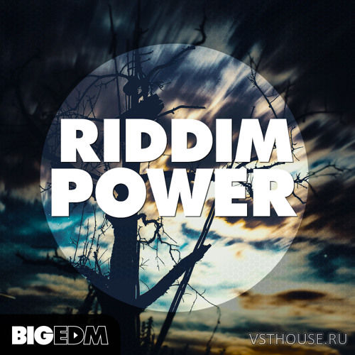 Big EDM - Riddim Power (MIDI, WAV, SERUM)