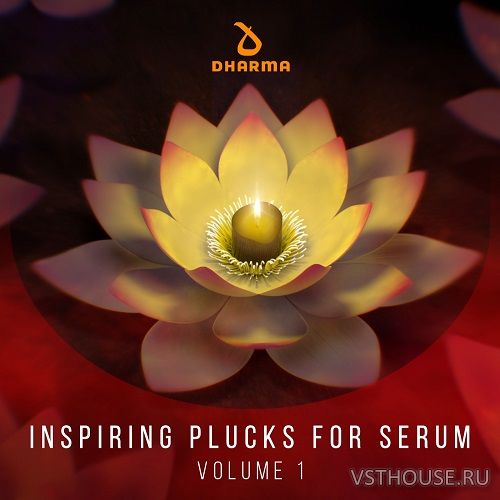 Dharma Worldwide - Inspiring Plucks For Serum Volume 1 (SYNTH PRESET)