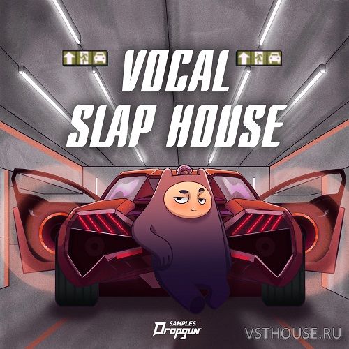 Dropgun Samples - Vocal Slap House (WAV)