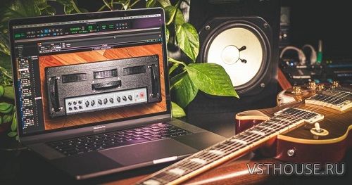 Nembrini Audio - Voice DC30 Custom Valve Guitar Amplifier 1.0.0
