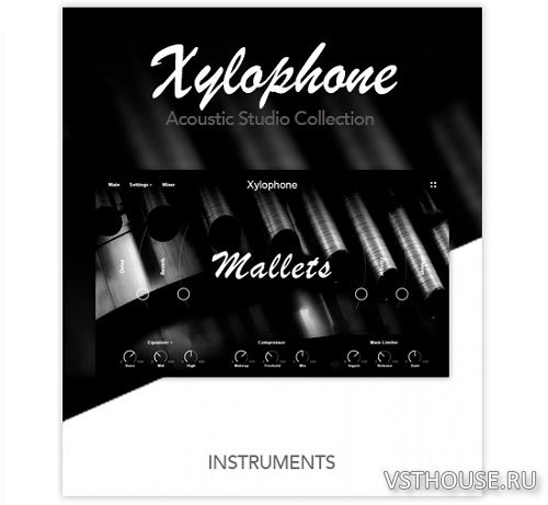 Muze - Xylophone (KONTAKT)