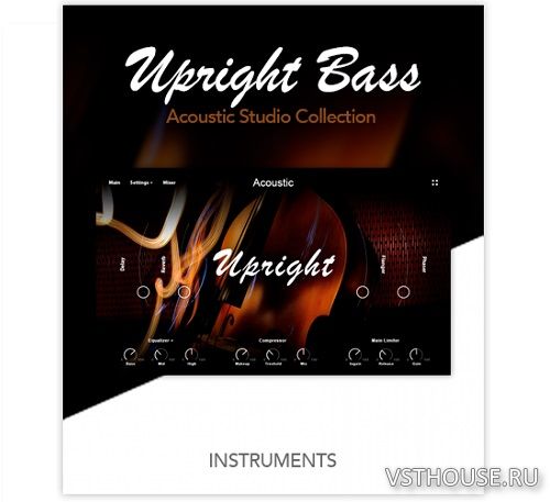 Muze - Upright Bass (KONTAKT)