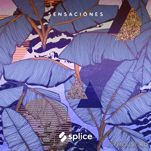 Splice Originals - Sensaciones - Latin RnB (WAV)