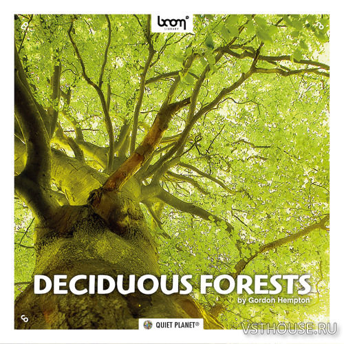 Boom Library - Deciduous Forests STEREO & SURROUND (WAV)