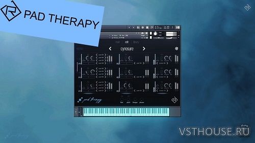 Ridig Audio - Pad Therapy (KONTAKT)