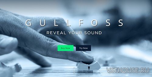 Soundtheory - Gullfoss 1.10.0 VST, VST3, AAX x64