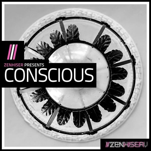Zenhiser - Conscious (WAV)