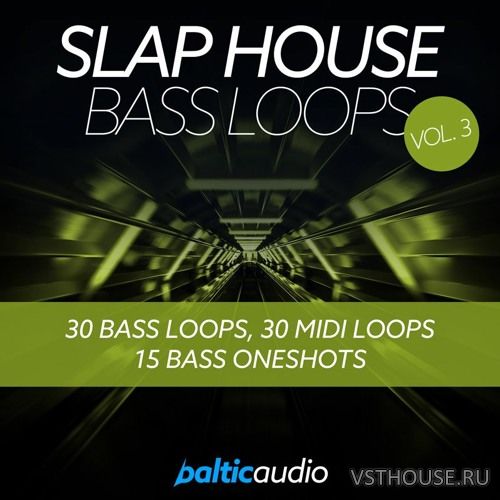 Baltic Audio - Slap House Bass Loops Vol 3 (MIDI, WAV)