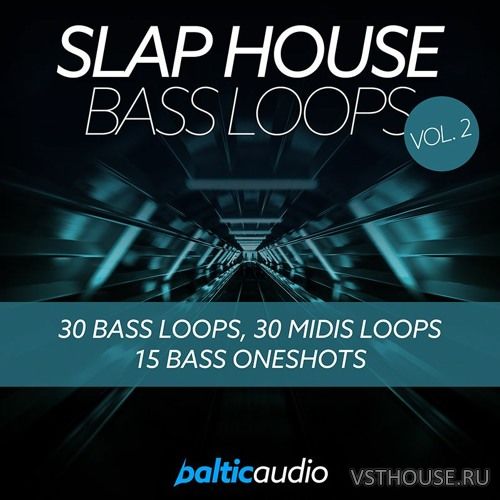 Baltic Audio - Slap House Bass Loops Vol.2 (MIDI, WAV)