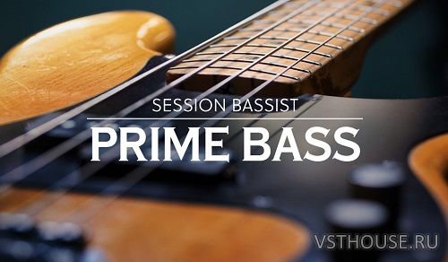 Native Instruments - Session Bassist Prime Bass (KONTAKT)