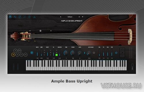 Ample Sound - Ample Bass Upright v3.5.0