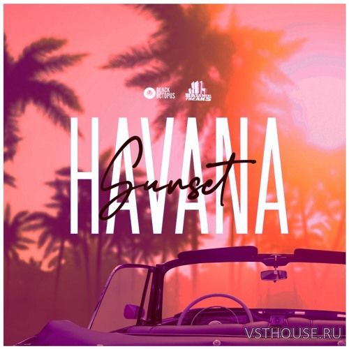 Black Octopus Sound - Havana Sunset by Basement Freaks (WAV)