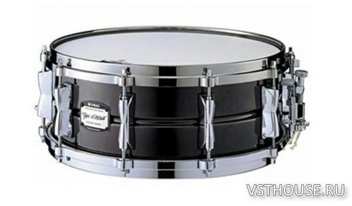 inMusic Brands - BFD Manu Katche Signature Snare (BFD3)