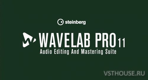 Steinberg - WaveLab Pro 11.1.10 NOINSTALL x64 R2R