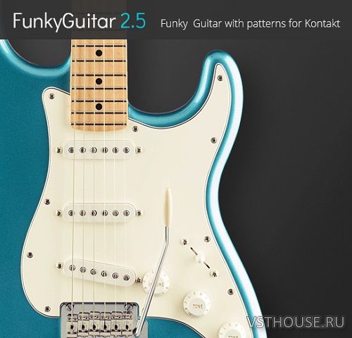 Pettinhouse - Funky Guitar v2.5 (KONTAKT)