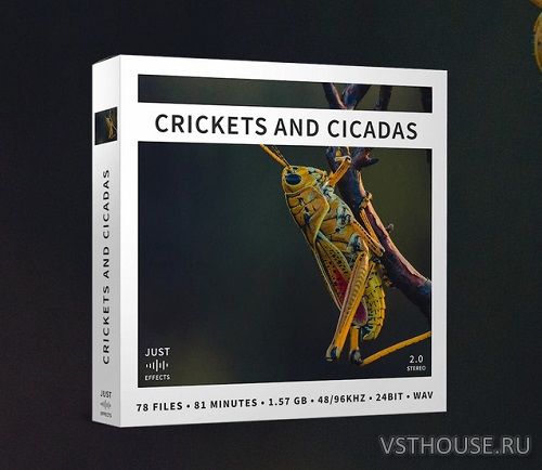 Just Sound Effects - Crickets and Cicadas (WAV)