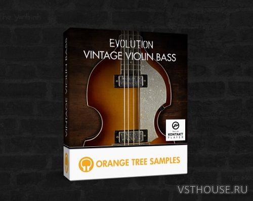 Orange Tree Samples - Evolution Vintage Violin Bass (KONTAKT)