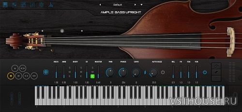 Ample Sound - Ample Bass Upright 3.6.0 Update