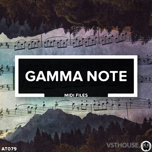 Audiotent - Gamma Note MiDi (MIDI)