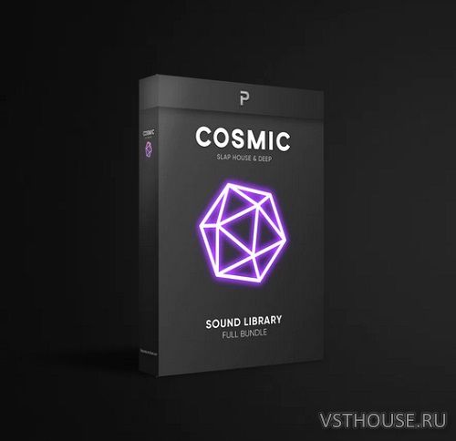 The Producer School - Cosmic - Slap House Sample Pack