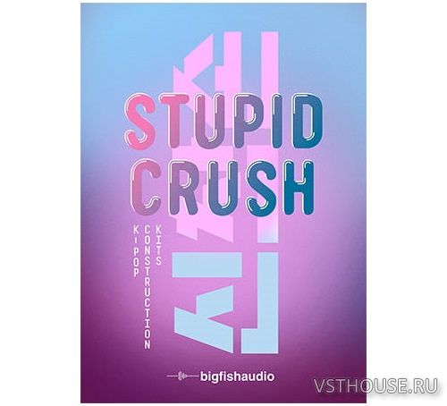 Big Fish Audio - Stupid Crush K-Pop Construction Kits