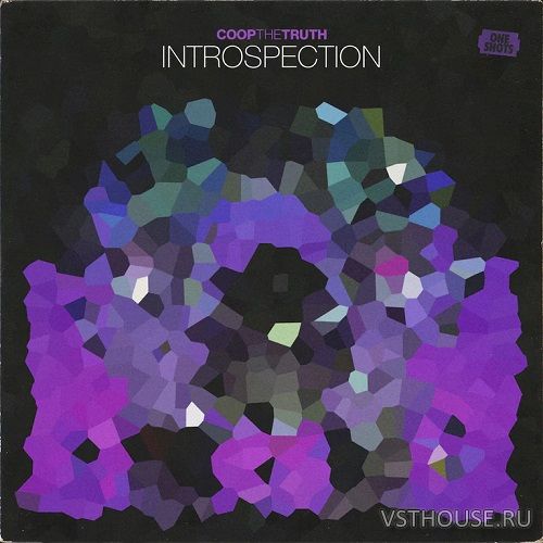 Coop The Truth - INTROSPECTION (One Shots) (WAV)