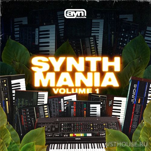 AYN Sounds - Synth Mania Vol. 1 (WAV)